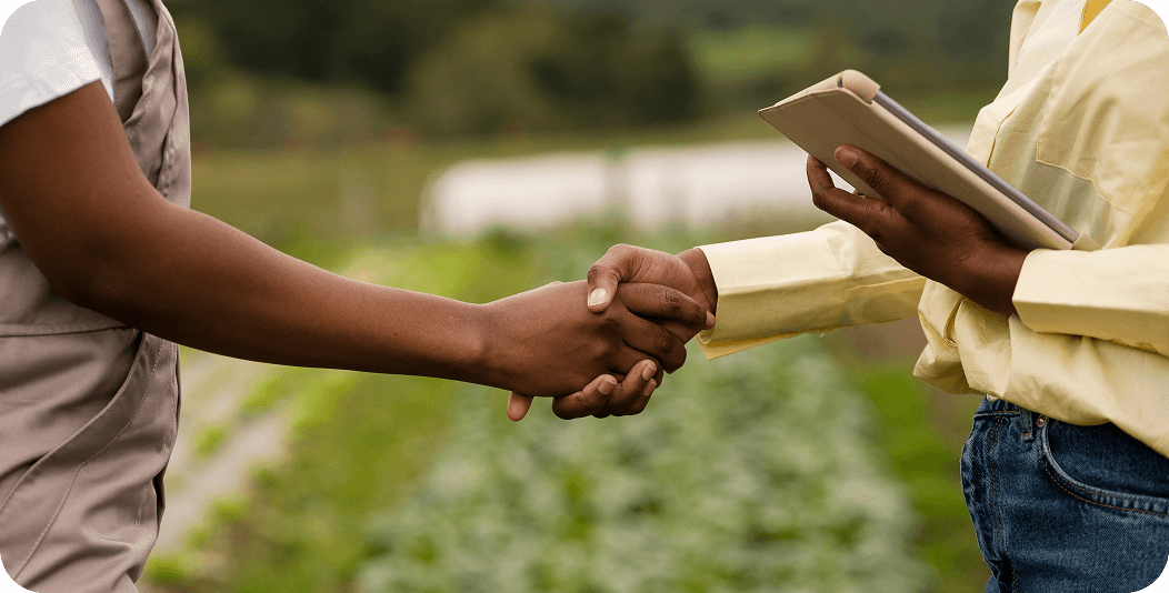 Formação especializada