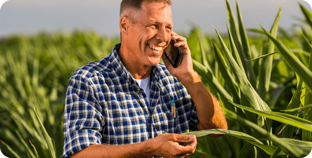 Instrumentos jurídicos