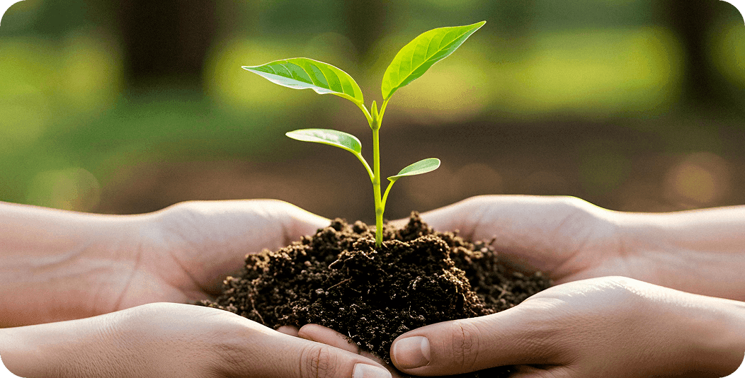 Aspectos ambientais, trabalhistas e compliance no agronegócio
